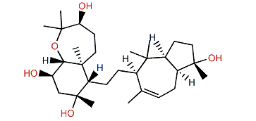 Sipholenol N